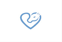 北京高端網(wǎng)站建設公司-想象力案例